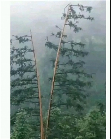 岳母炮姐史莱姆in漫威