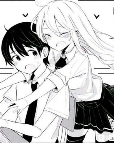 关于本系统与叛逆的世界小姐