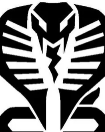 神奇宝贝之最强精灵