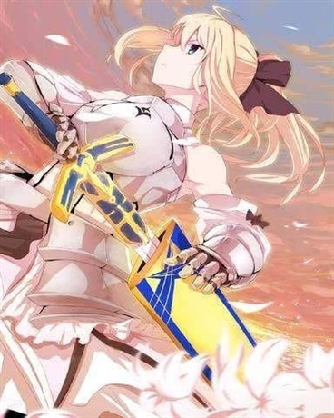 圣剑使与魔法使