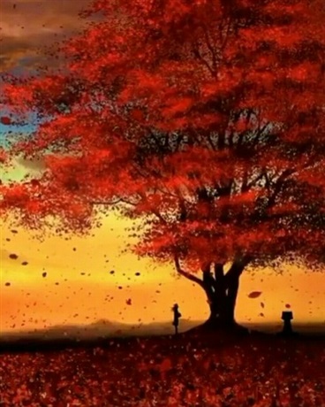 重生在崩坏的我还能有感情吗