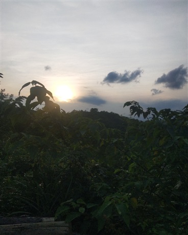 重生后的他变成了女孩