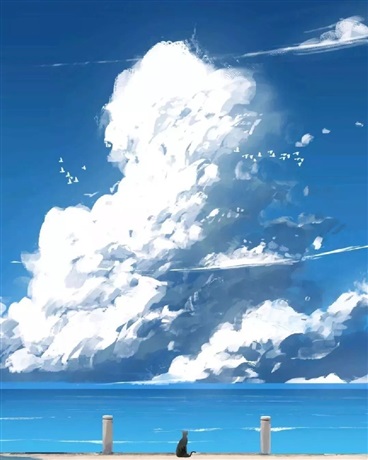 黑白的权衡