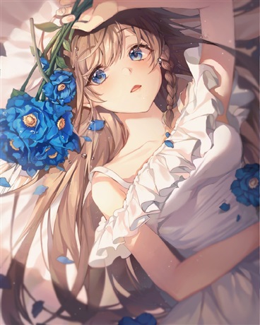 我的二次元愿望清单