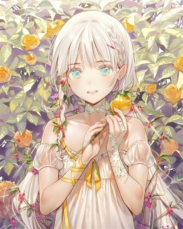 关于我与奇怪邻居的日常生活