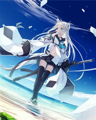 无敌的综漫之旅