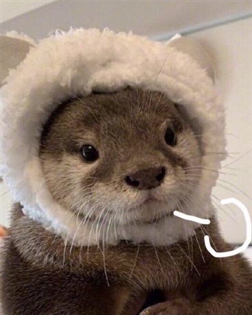 重生在同一个世界的冒险