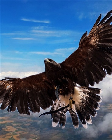 恶魔的约会大作战