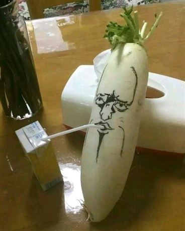 燃烧的羽毛
