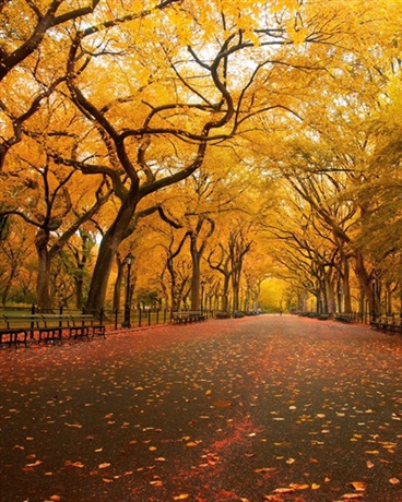 请不要在叫我魔女大人了