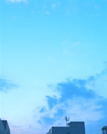 血族的世界之旅