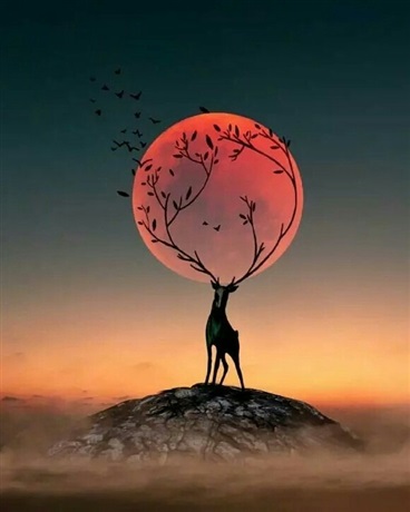 英雄什么的我当定了