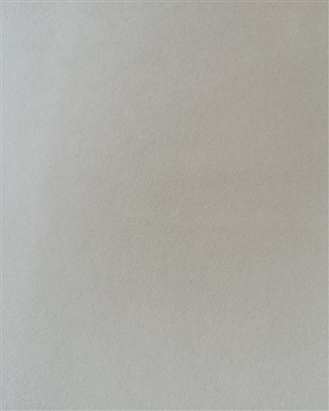 天医灵神的我是一只猹