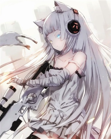 一只猫让我在不同的动漫里穿梭