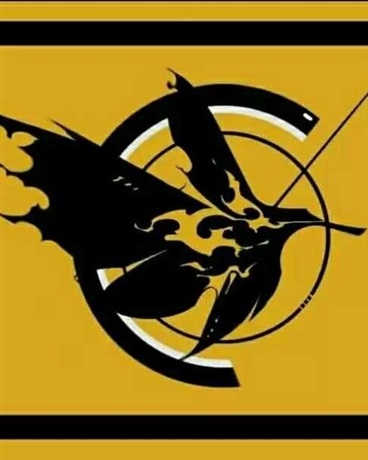 从图书馆到综漫的生活