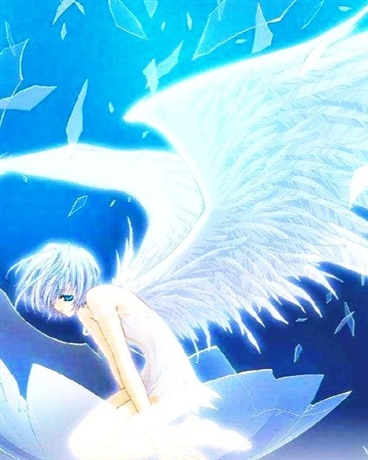 南方大道狂想曲