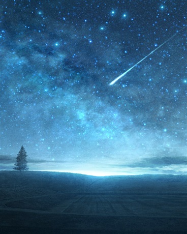 末世中的双子星