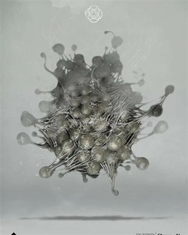 恶魔与皇女的故事