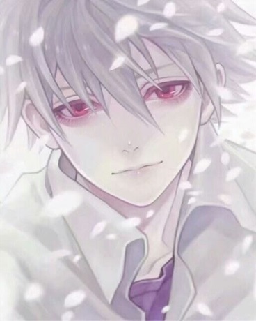 我的女友们超爱我