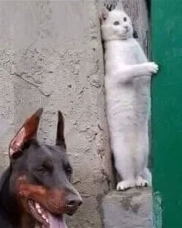 末世里的我被恶灵附身了