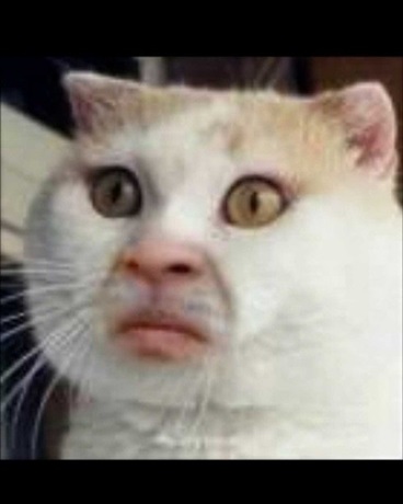 逗号里的问好里的感叹号