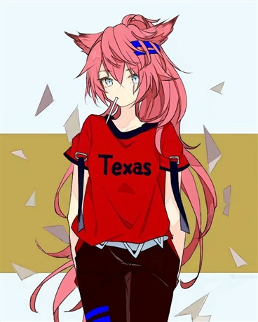 变成拉普兰德的我加入了聊天群