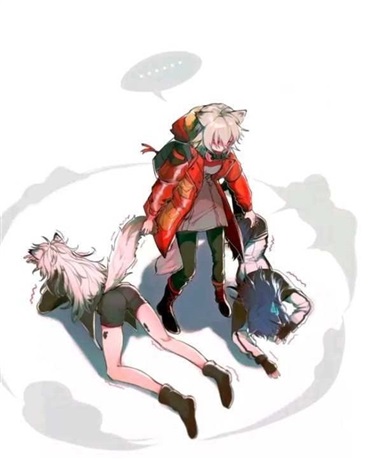 孤狼的方舟之旅