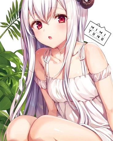 穿越西幻之中的我不是公主