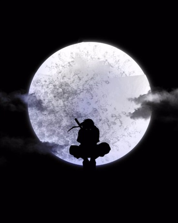 明明穿越了可为什么我不能选择