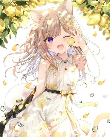 今天，向日葵桑也很可爱！