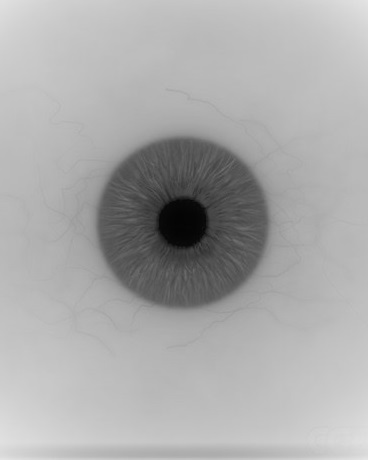 这是个实验品不要点进来