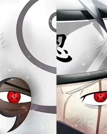 卡卡西从海贼开始的旅途