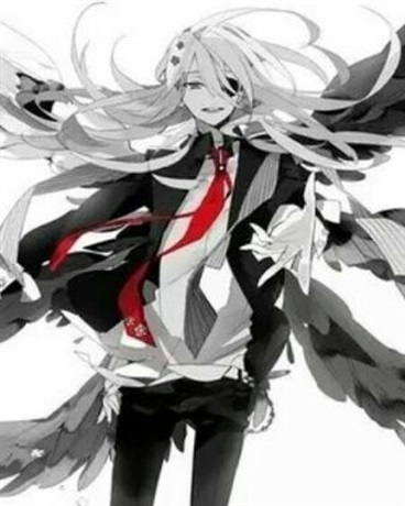 落下人间的天使今天也很开心呢