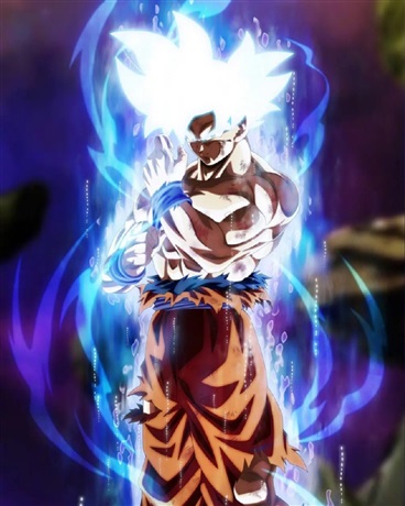 我是卡卡罗特的孙子