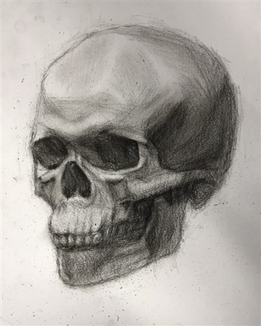 行走的橙子一动不动