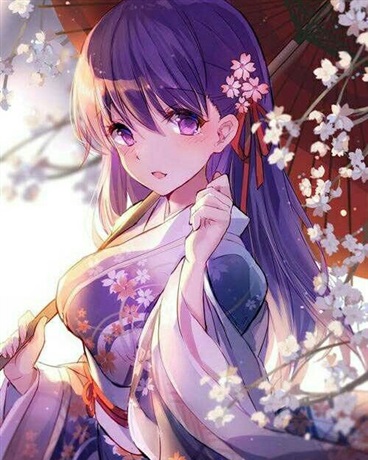 拥有全英灵力量的御主在二次元