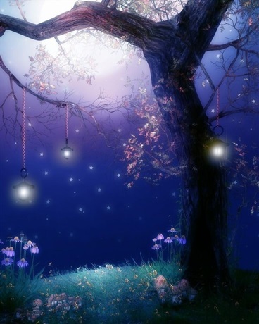 星空下的枫树与陪伴之人
