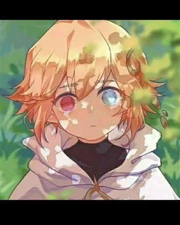 重生到魔法世界