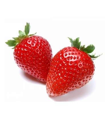 不幸败北的魔族女王