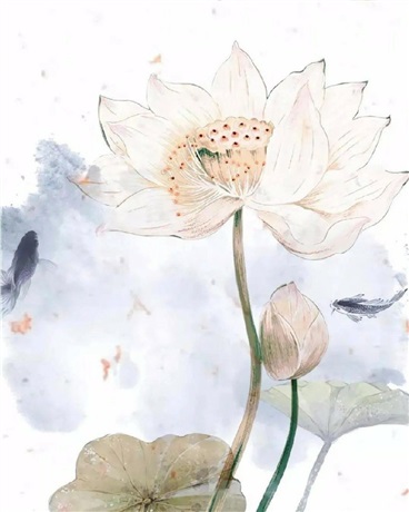 不一样的现实创造主