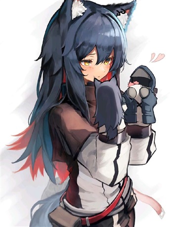 重生骑士的全新冒险