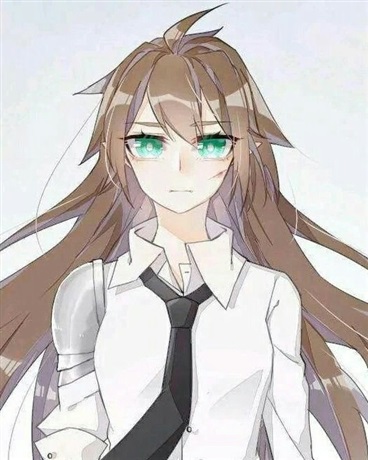 穿越凹凸世界之安迷修的妹妹