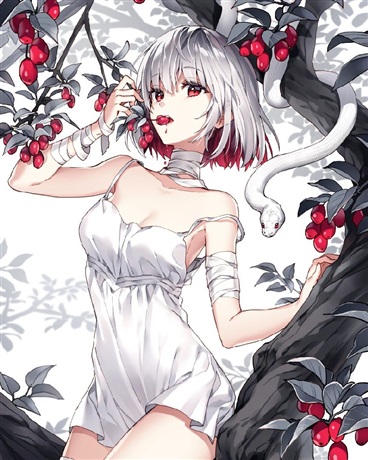 不正教师与龙之少女