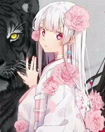 从约战开始的世界旅行