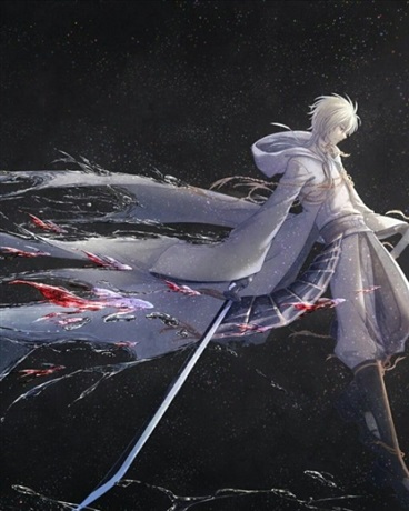 我终将成为剑道之主