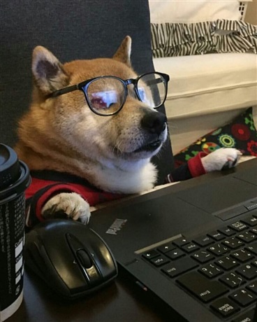 斗罗大陆之不懂情