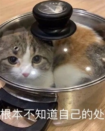 末日养成