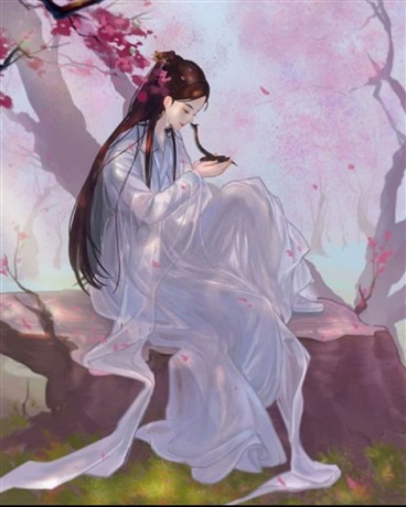 卿本佳人奈何无感