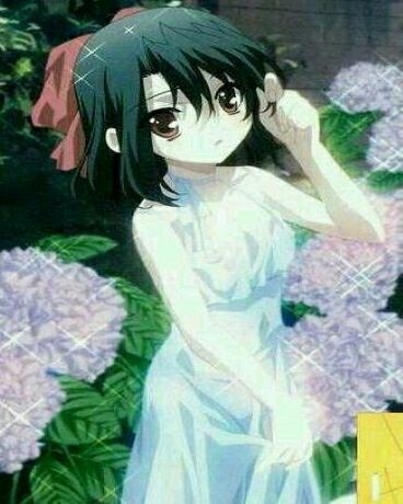 论手握四神我应如何取得决斗胜利