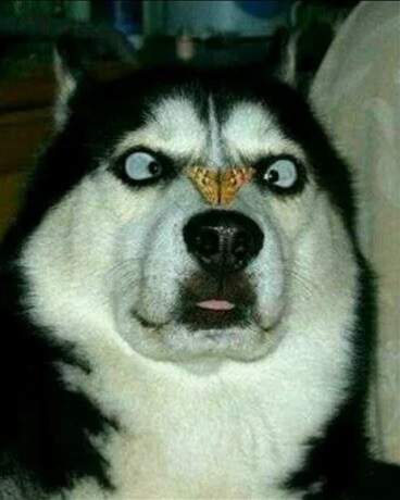 用来练手的可怜孩子